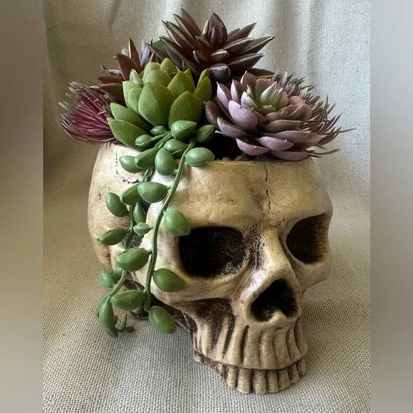 Halloween Succulent Skull Spooky Planter - Picture 8 of 8